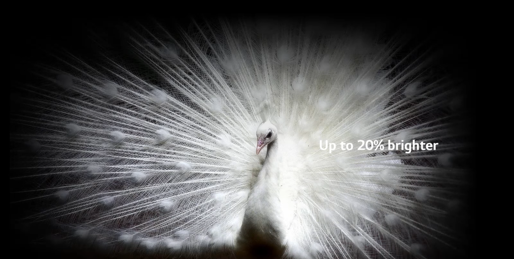 lg_oled48c2rla (1).PNG