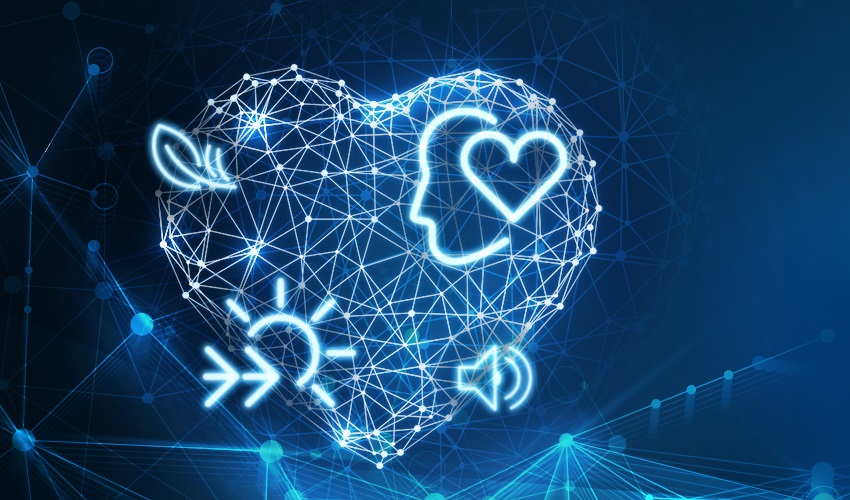 Сушильная машина Maunfeld MFDM169WH Сушильная машина Maunfeld MFDM169WH