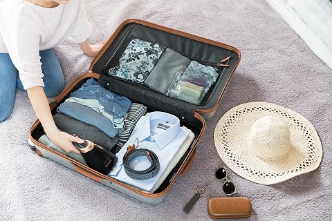 Отпариватель ручной Philips Steam Go GC362/80, черный/коричневый