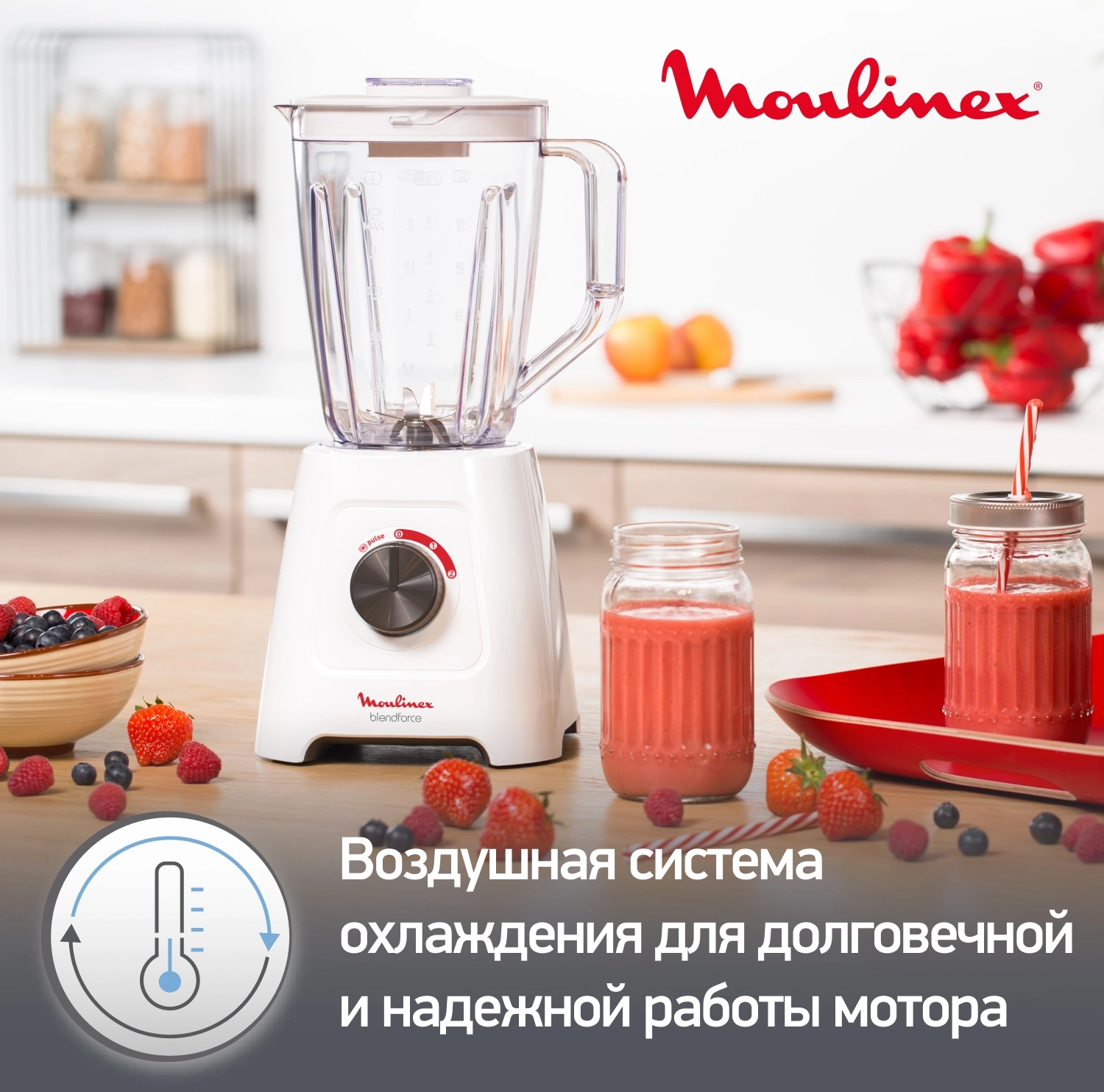 Блендер стационарный Moulinex Blendforce LM420110 белый, фото 9