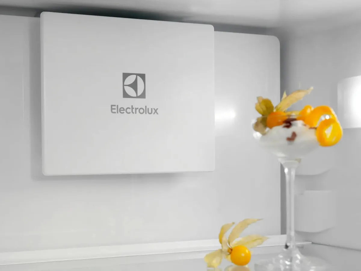 Холодильник Electrolux ENTMUSP8S, фото 5
