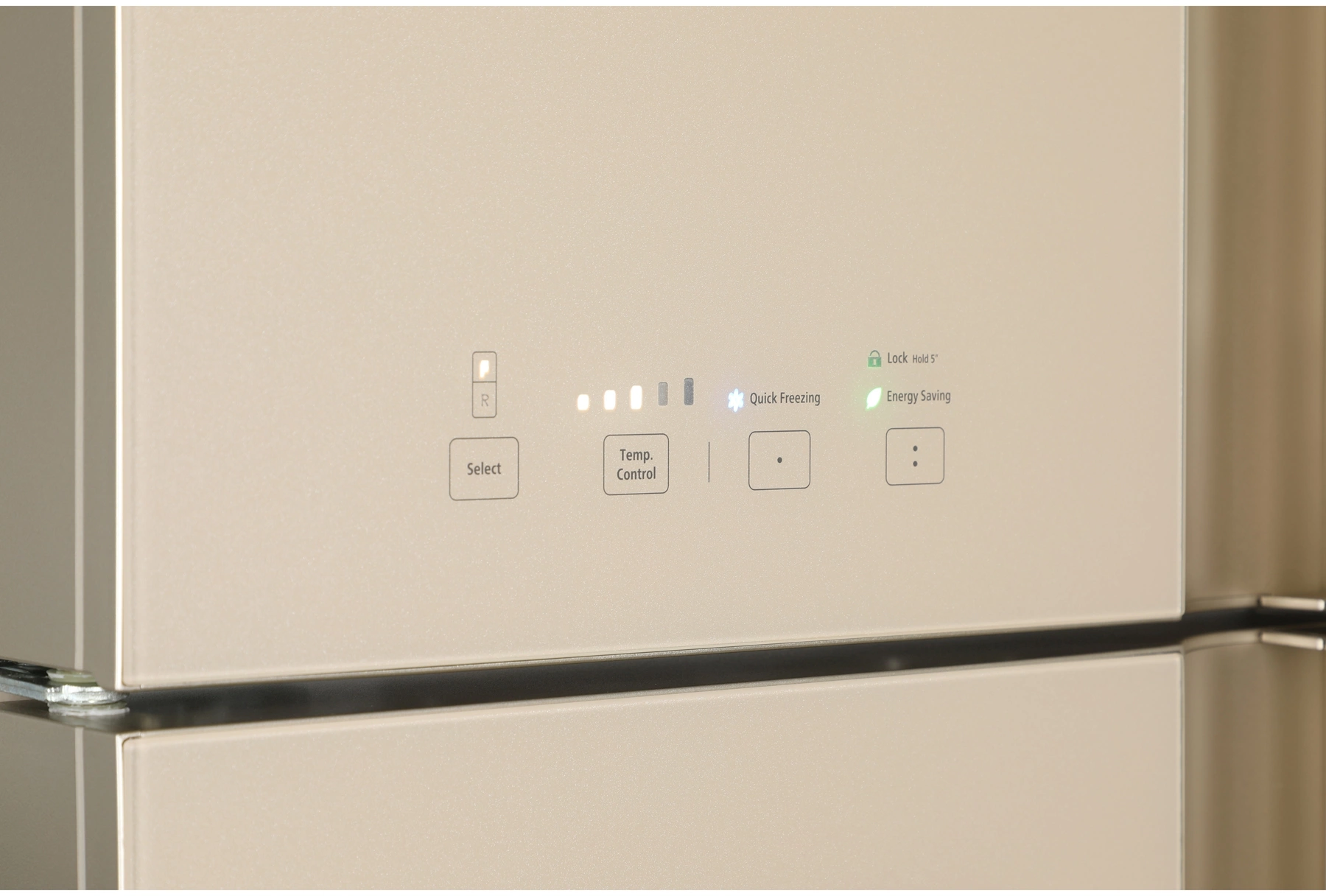 Холодильник Hitachi R-W660PUC7 GBE, фото 6