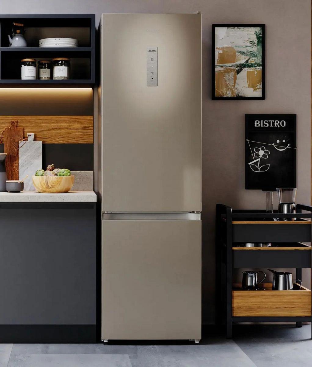 Холодильник Hotpoint HT 6200 BZ, фото 7