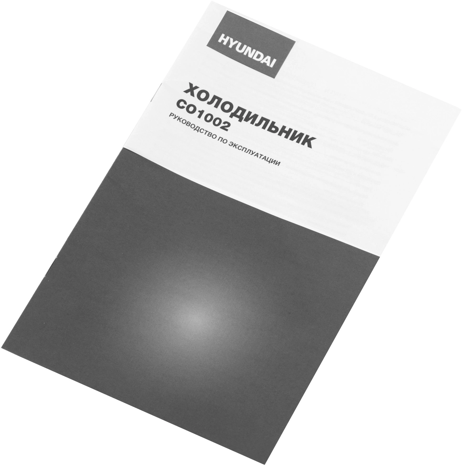 Холодильник Hyundai CO1002, фото 24