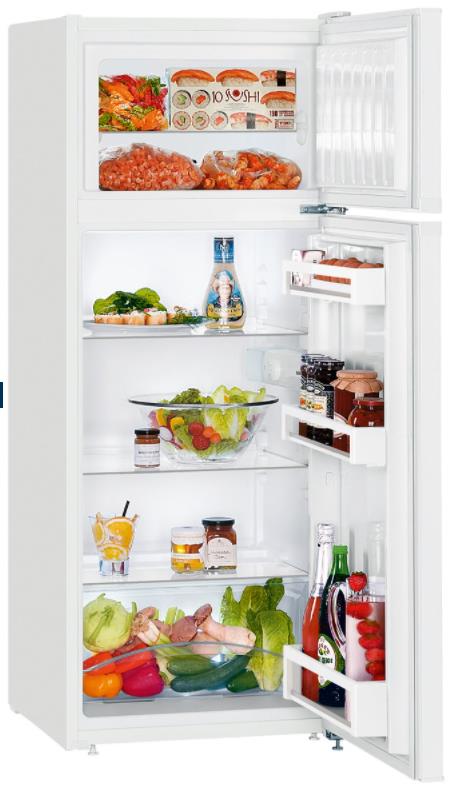 Холодильник LIEBHERR CT 2531-21 001, фото 2