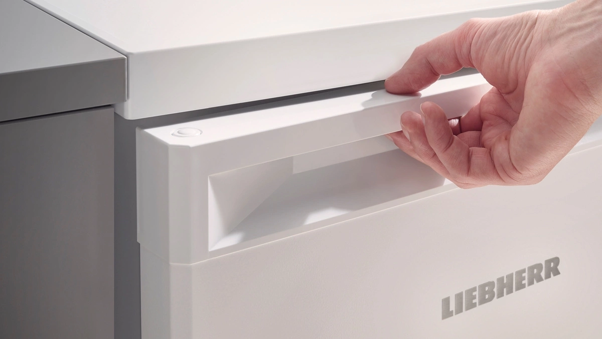 Холодильник Liebherr Re 1201, фото 11