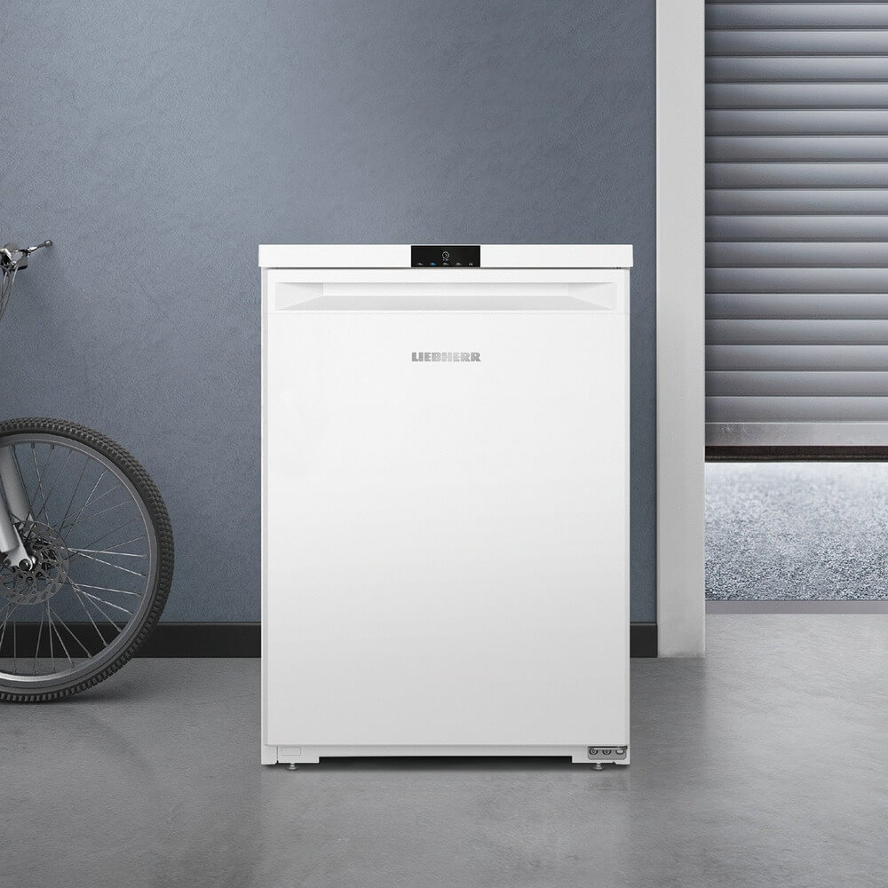 Морозильная камера Liebherr Fe 1003-20 001, фото 9