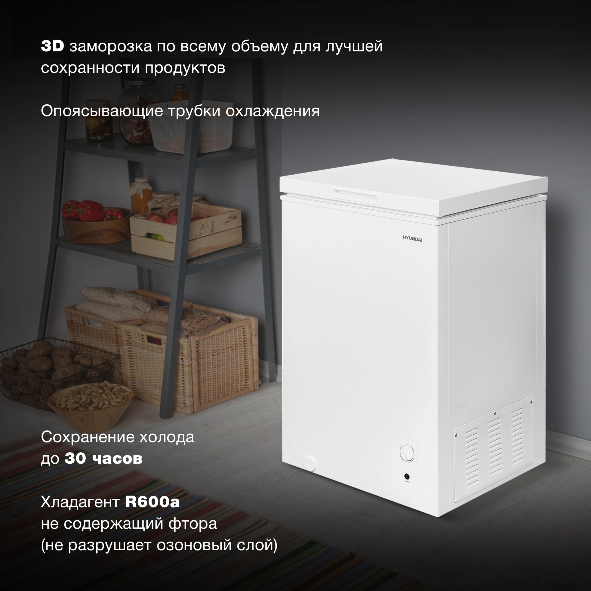 Морозильный ларь Hyundai CH1002, фото 20