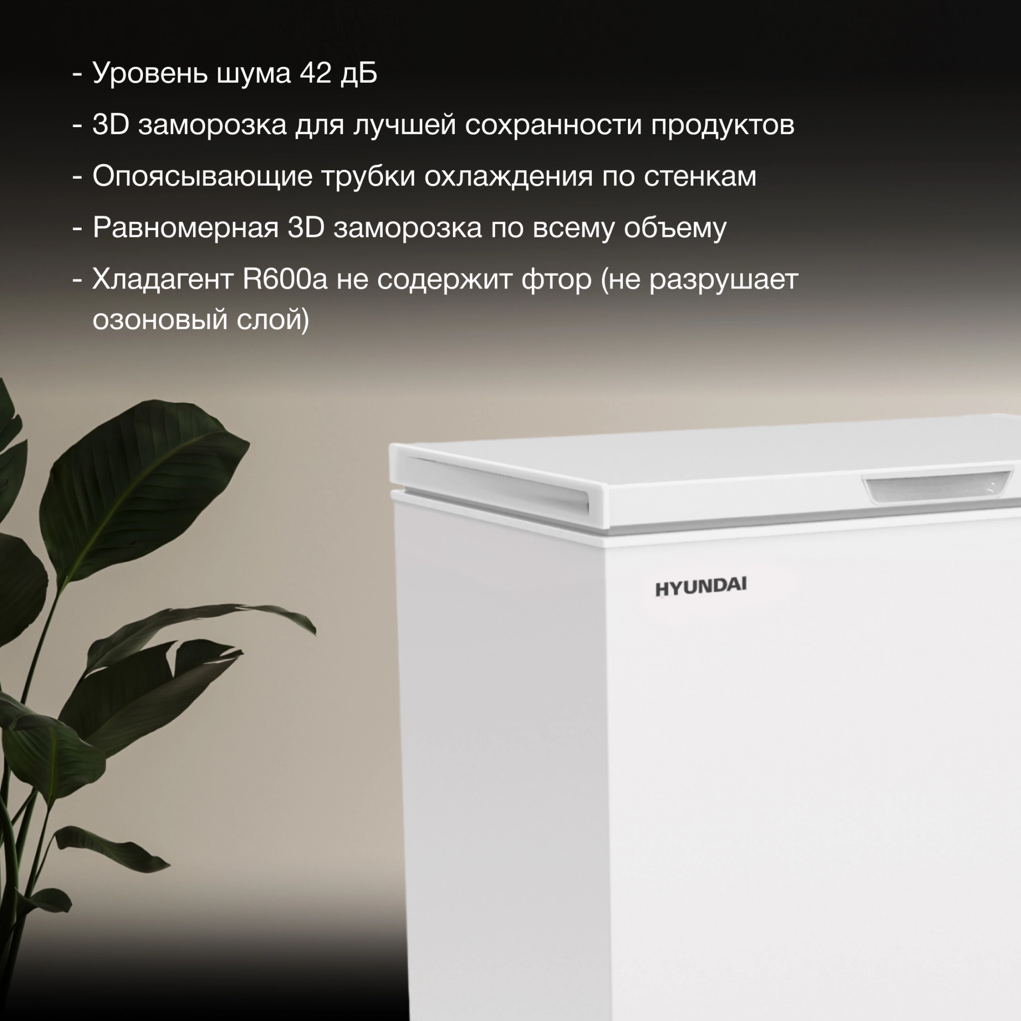 Морозильный ларь Hyundai CH25081, фото 7