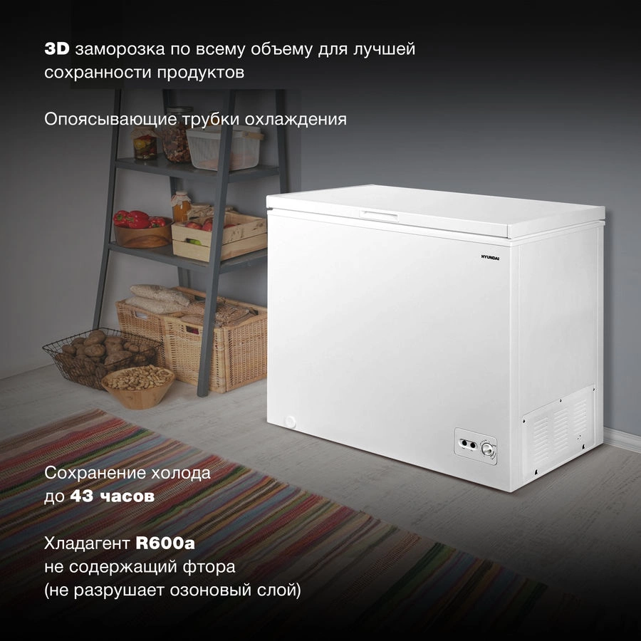 Морозильный ларь Hyundai CH2591WT, фото 3