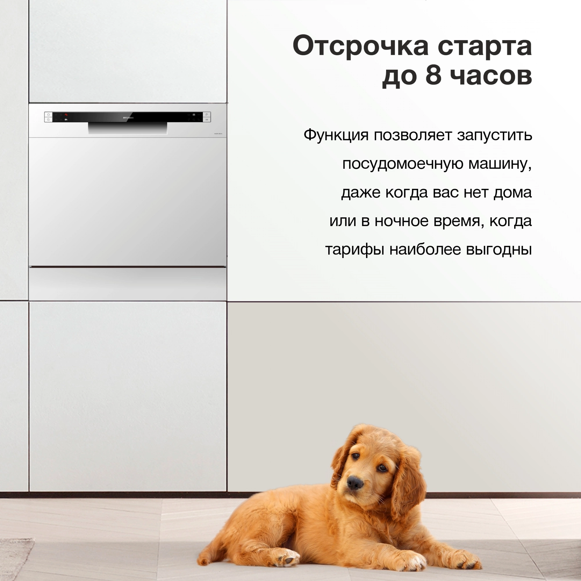 Посудомоечная машина Hyundai DT503 белый, фото 17