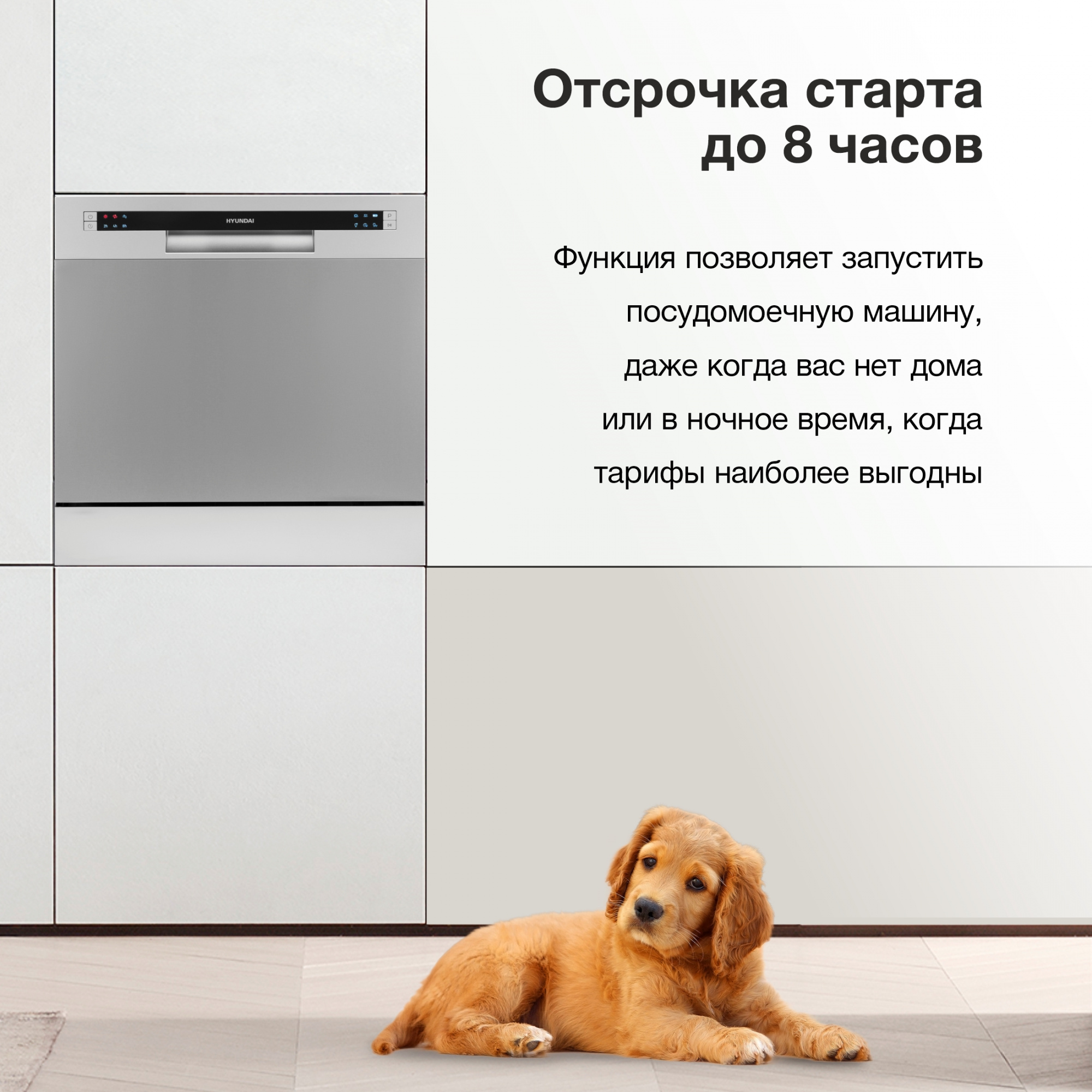 Посудомоечная машина Hyundai DT503, фото 6