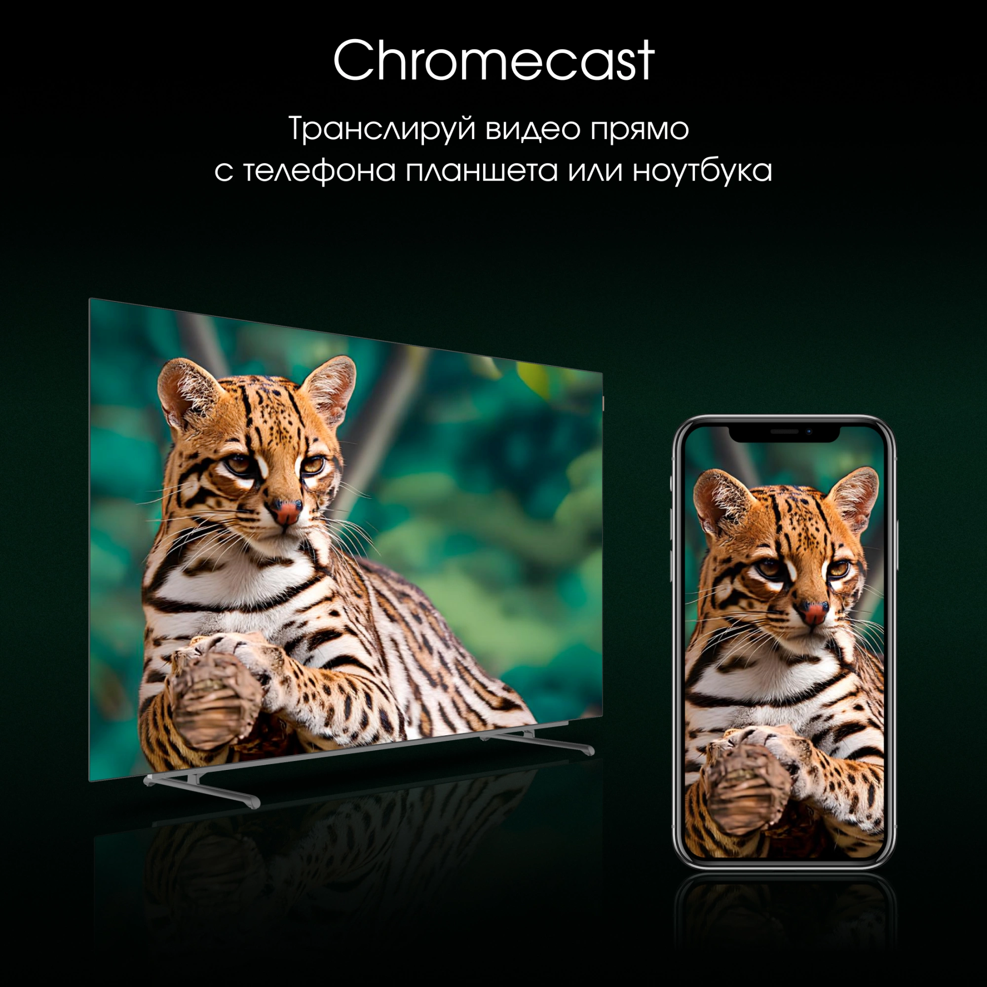 Телевизор Digma Pro 65M, фото 12