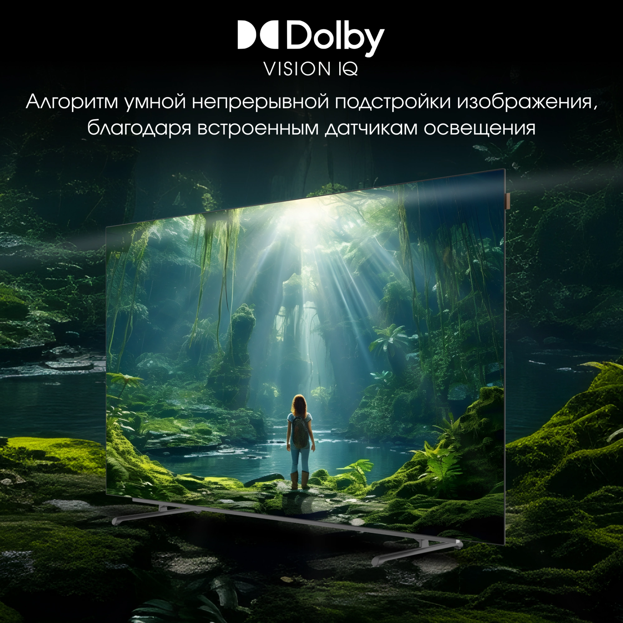 Телевизор Digma Pro 65M, фото 15