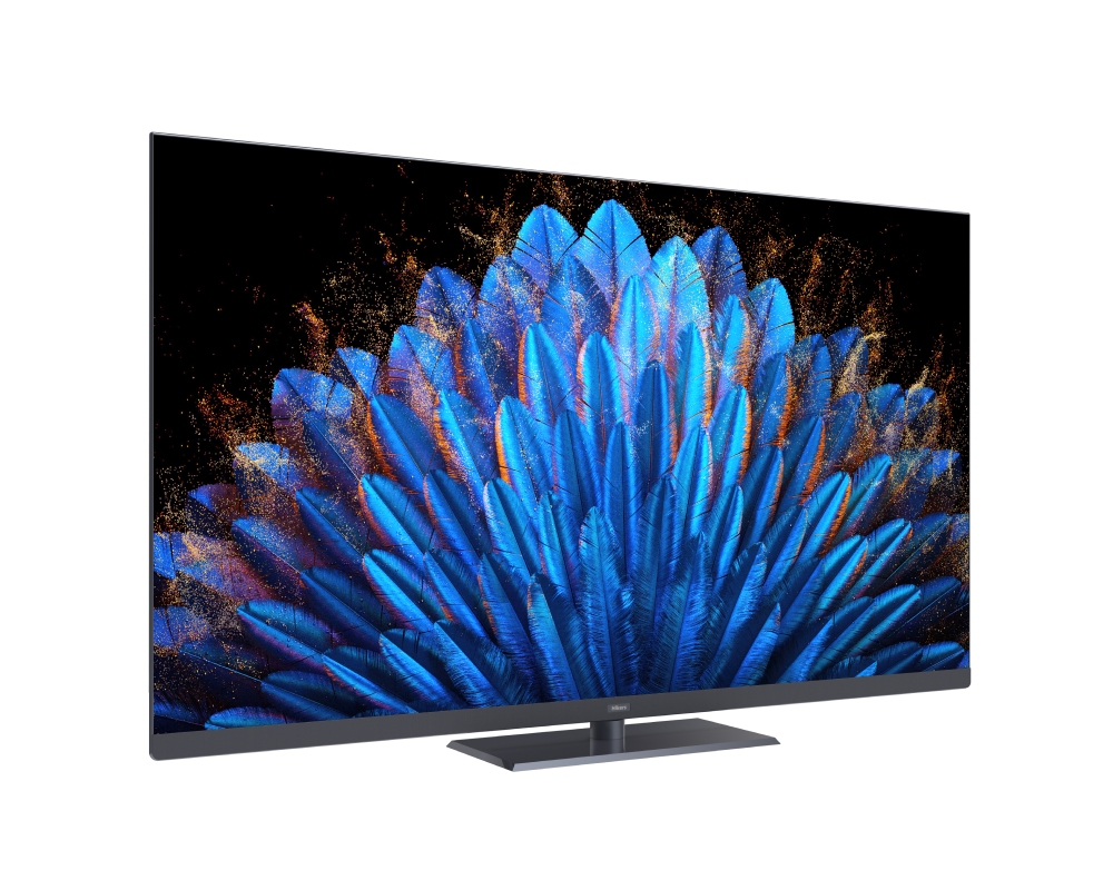 Телевизор Hikers 55HAQ12, фото 5