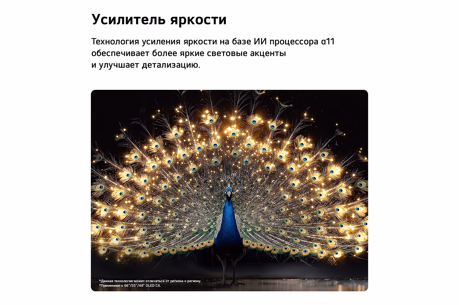 Телевизор LG OLED48C6RLA, фото 15