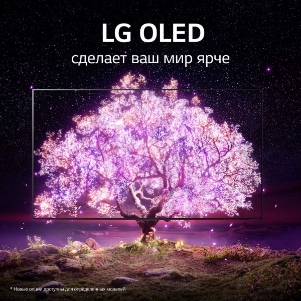 Телевизор LG OLED55C14LB, фото 17