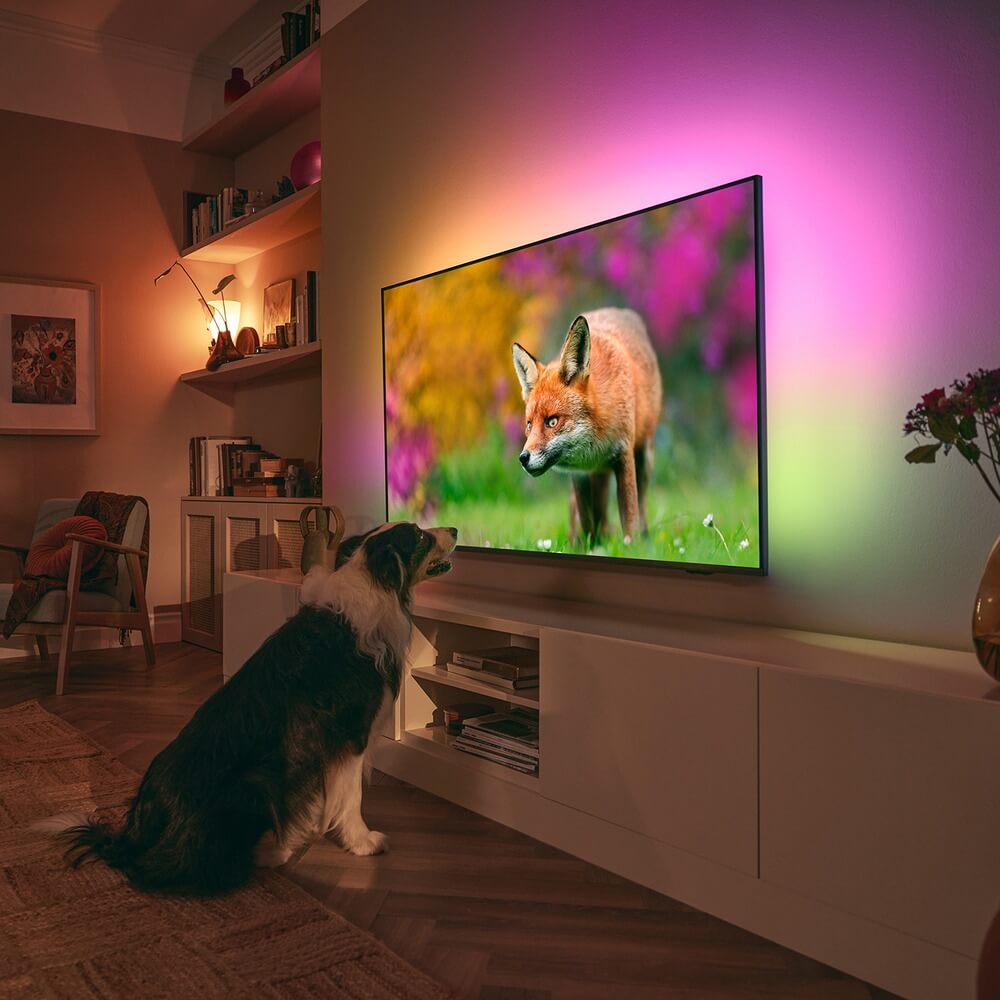 Телевизор Philips 55PUS8519/60, превью предыдущего фото