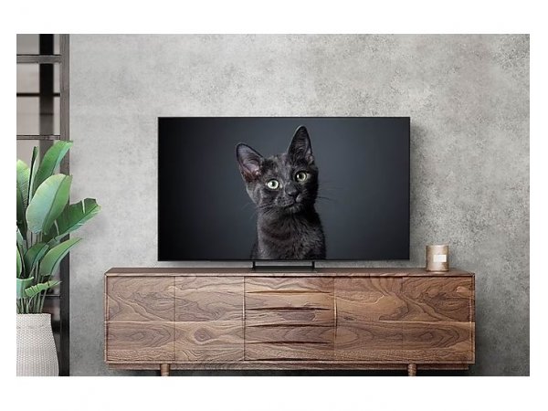 Телевизор Samsung QE65S90C EU, фото 6