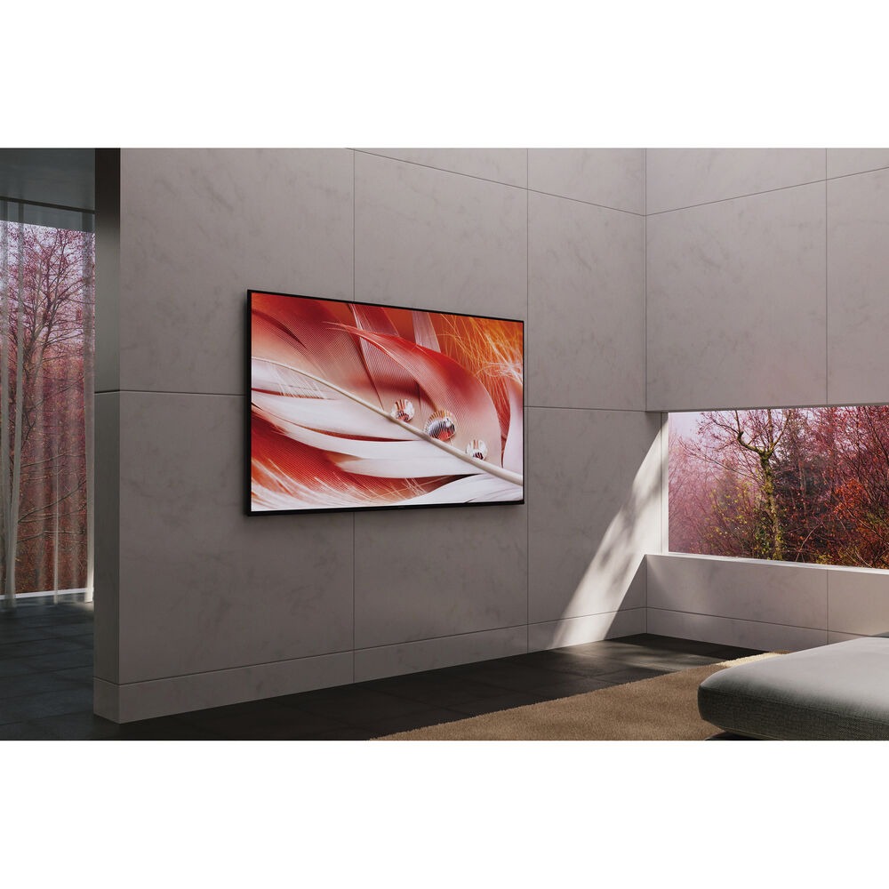 Телевизор Sony XR-65X90J (SL), фото 11