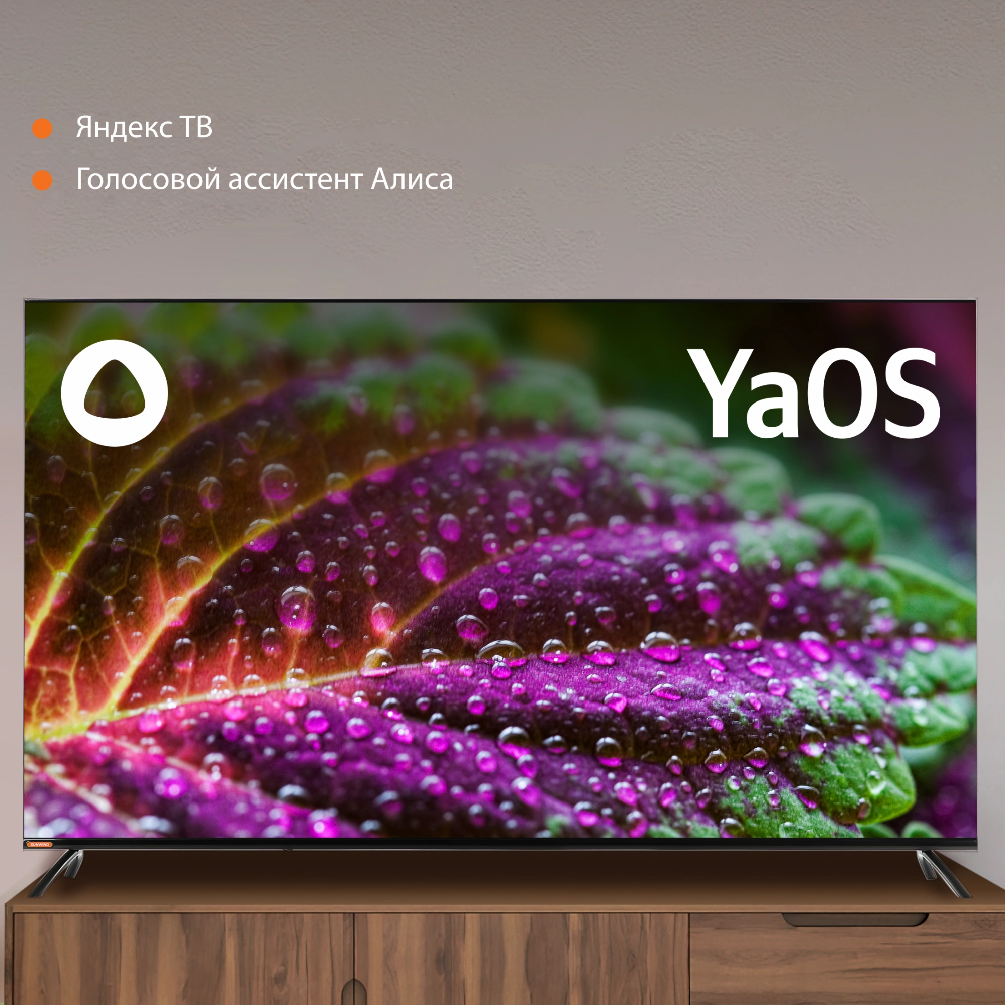 Телевизор SUNWIND SUN-LED65XU401, фото 5